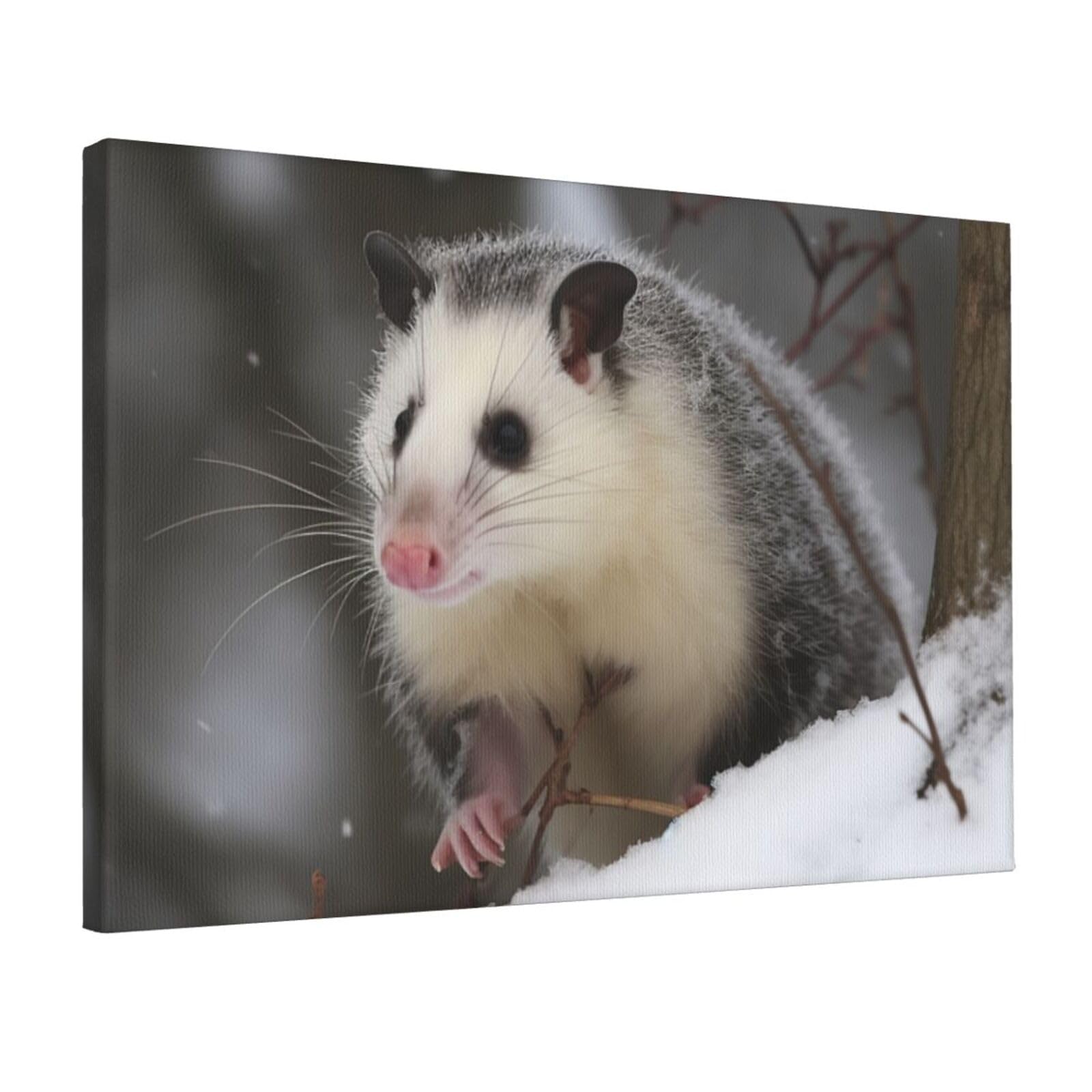 Canvas Wall Art for Living Room Wall Decor 12"x18" Modern Artwork Painting Pictures Hanging Canvas Prints Opossum In Snow Aesthetic Wall Art for Bedroom Bathroom Office Wallart Decor