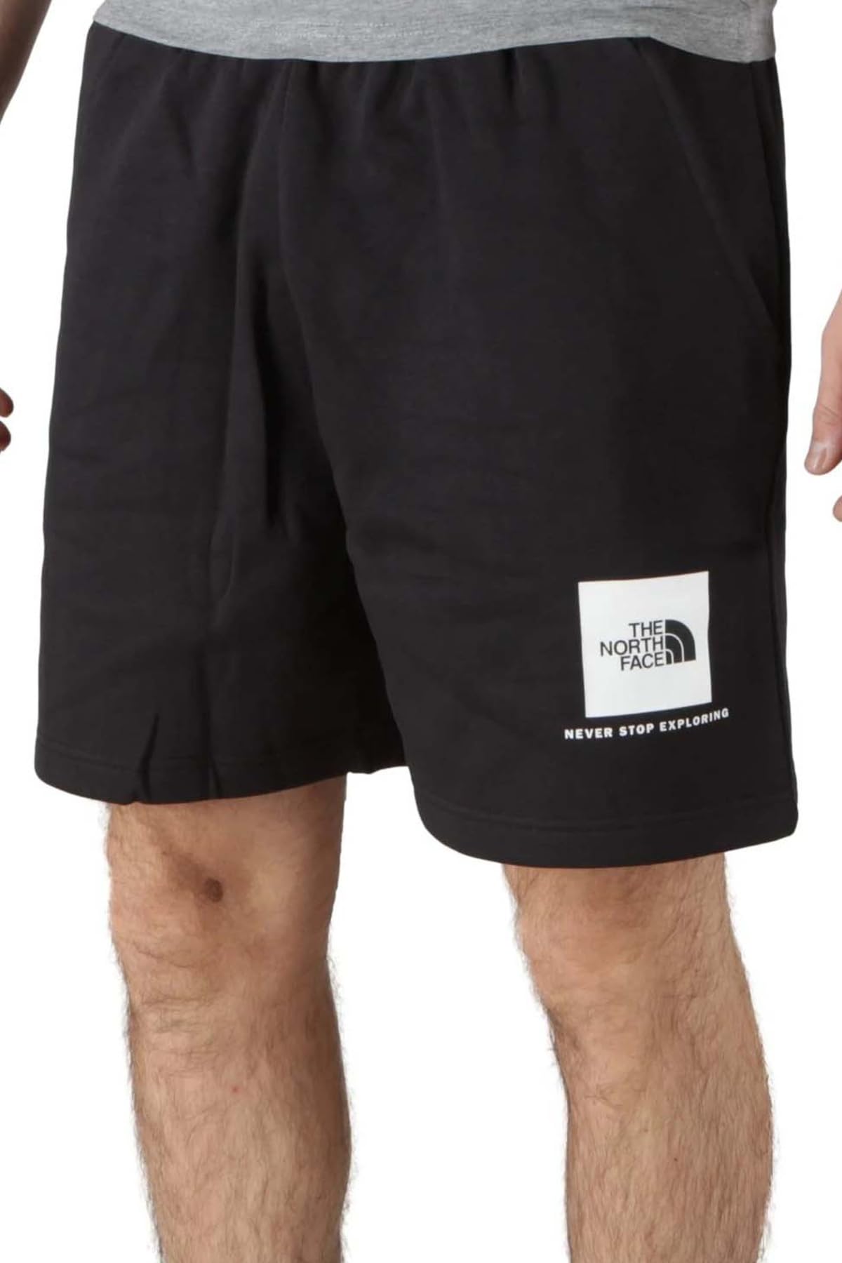The North Face Box NSE Light Regular - Pantalones Cortos Hombre