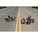 cozytrikes Electric Fat Tire Recumbent Quad | All-Terrain 4-Wheel E-Quad with Fat Tires & LCD Display | Powerful Motor & Comfortable Ride| Electric Bicycle for Adults
