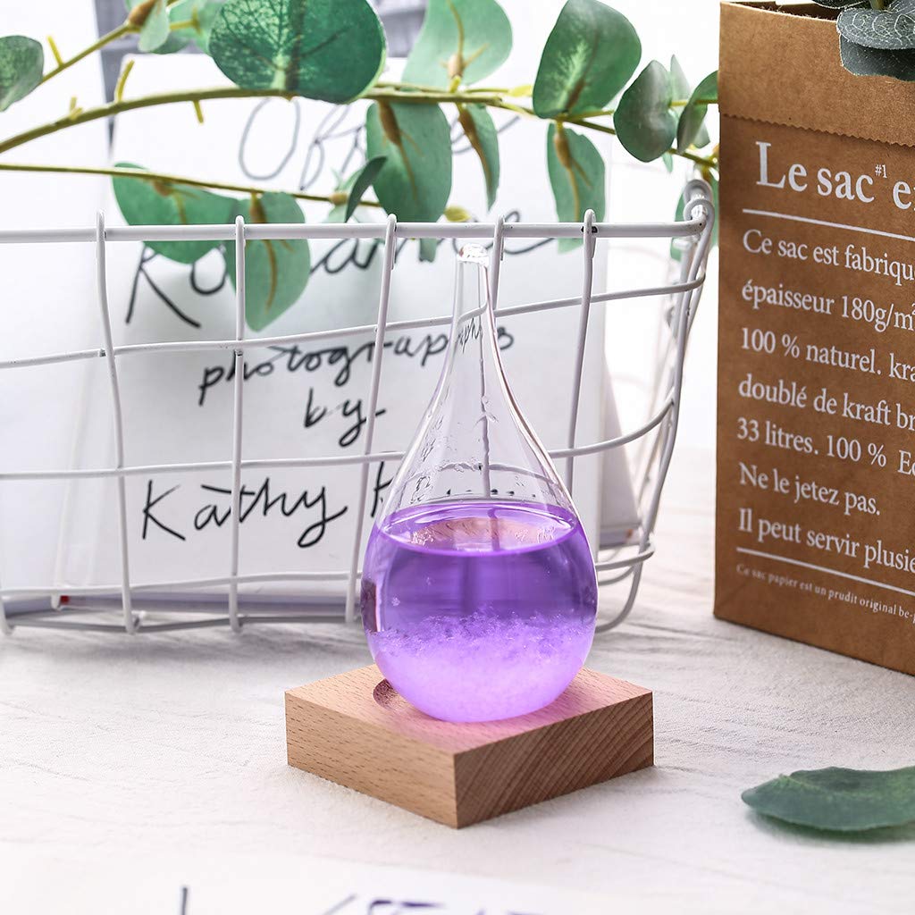 TianMeng Storm Glass Weather Station Old Captain FitzRoy's Storm Cloud Barometers Crystal Weather Forecast Bottle Desktop Decorative Bottles Crafts (Purple)