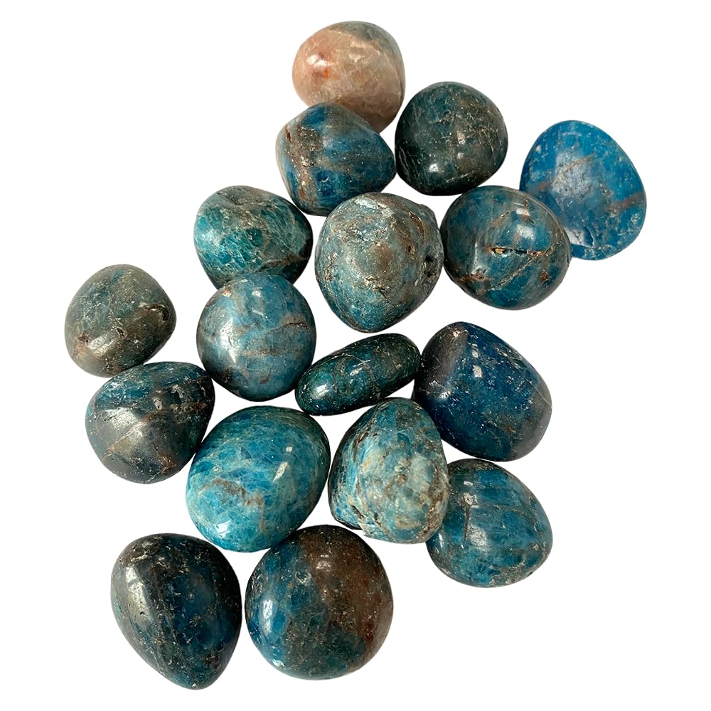 VIE Tumbled Crystals, Pack of 12, Apatite