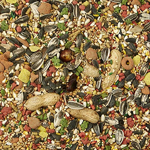 Kaytee 100213697 Forti-Diet Pro Health Pet Conure & Lovebird Food thumb #2
