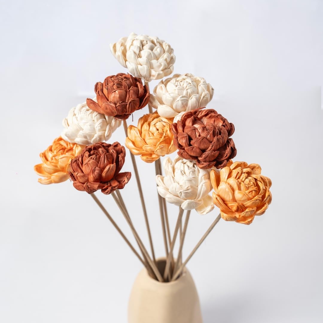 Idika Living Shola Pith Flower for Home & Office Decor | 6 Stems | Dried Flower | Natural Wood Flowers | Home Decor | (Without Vase) , Organic Sustainable | Vase Fillers (Tangerine/ Orange)-image-4