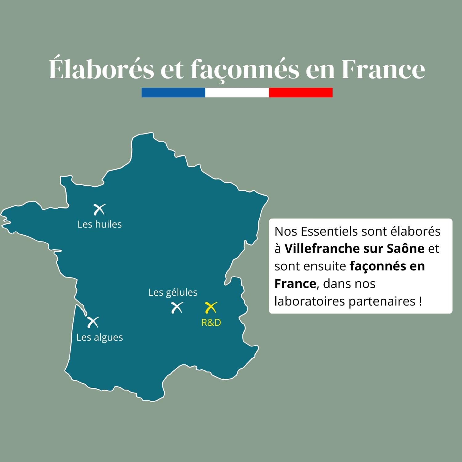 Bruleur de graisse, Formule avec Guarana, Sinetrol® & Probiotiques - Minceur - Perte de Poids, Boost du Métabolisme & Digestion, Cure de 1 mois (60 Gélules), Fabriqué en France, Vegan
