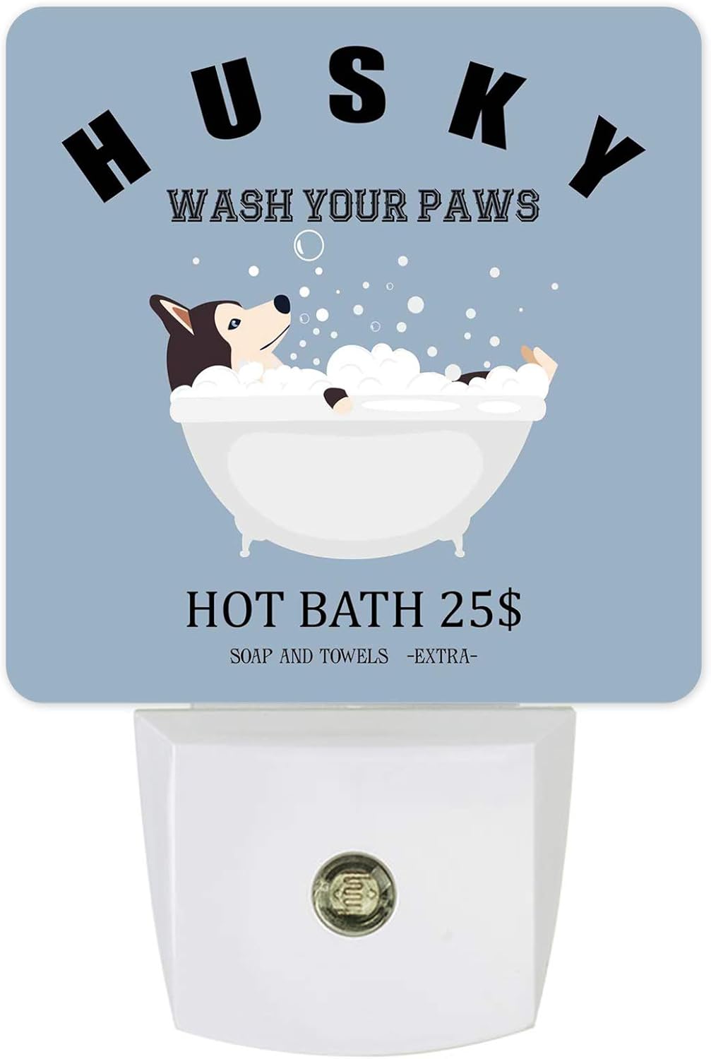 Can Dog Take A Bath At Night