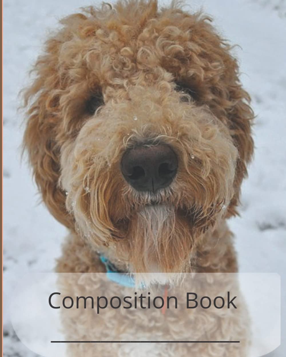 Golden Doodle Composition Notebook Goldendoodle Notebook Diary Goldendoodle Gifts 200 page 8x10: goldendoodle notebook diary composition notebook goldendoodle 200 lined college rule pages