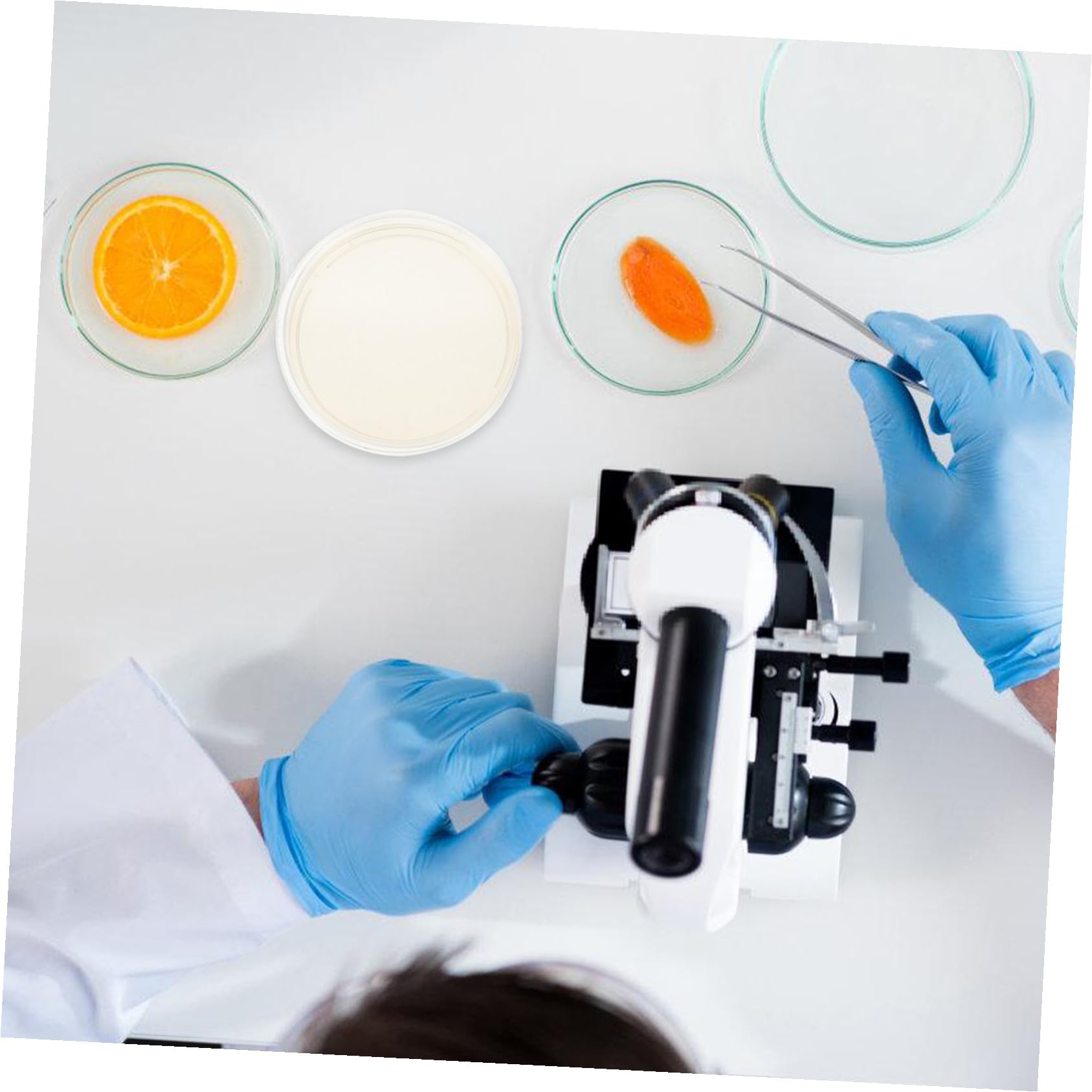 Placas de Petri de Agar Pre-vertido 10piezas 9cm Lb para Aislamiento | Suministros para Experimentos, Placas de Agar para Laboratorio, Decoracion Colegio