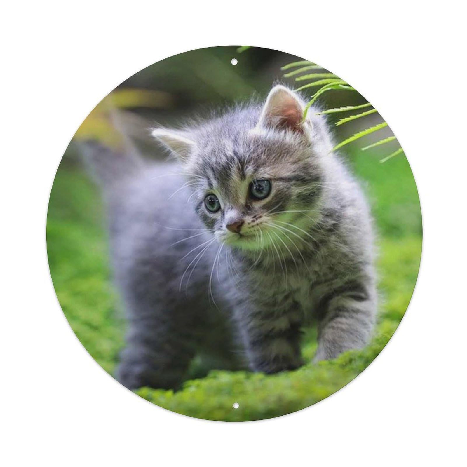 Grey Kitten Cute Pet Cat Nature Portrait Metal Tin Sign