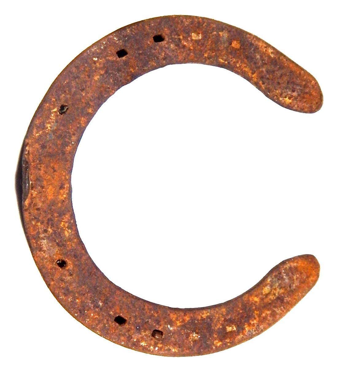 Zoltamulata Big Size Black Horse Shoe Kale Ghode Ki Naal 10 Years Old 1 Pcs