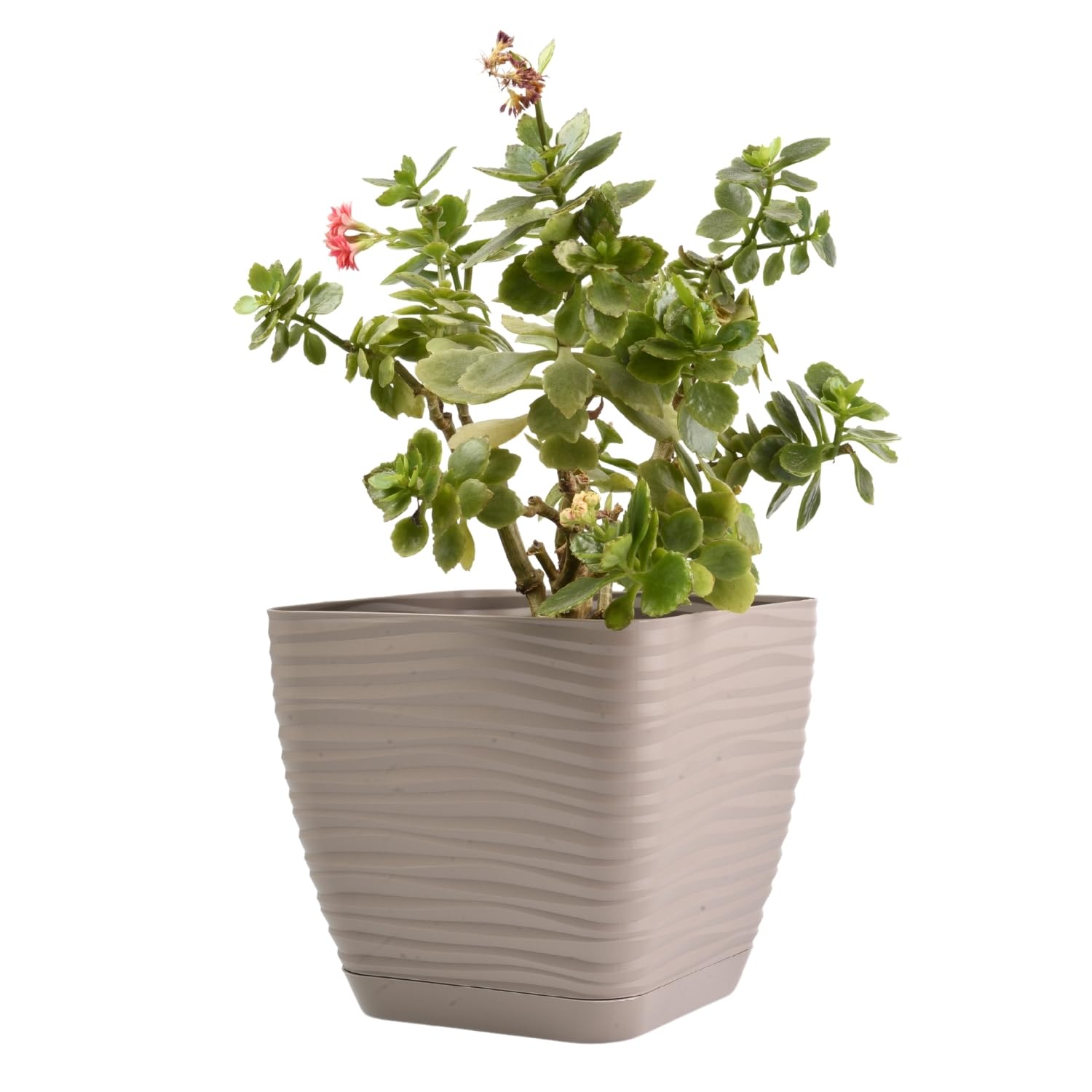 B2C Plant Pot Flowerpot Square Plastic Modern Decorative Wave Grooves Textured Elegant & Modern With Saucer (Taupe, 19cm)