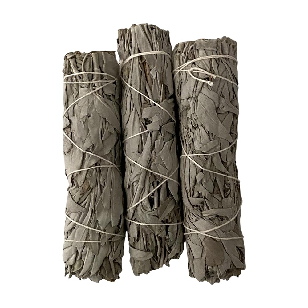 White Sage 6-inch Smudge Stick, Pack of 3