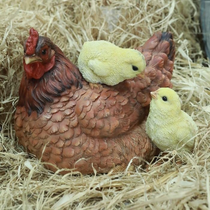 特価 アメジストドーム（カペラ）96 特価 アメジストドーム（かペラ） 120