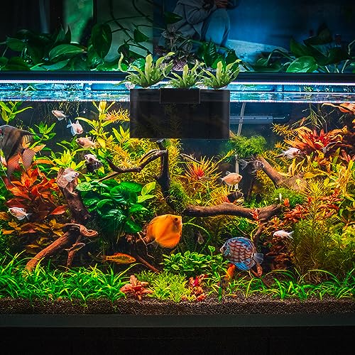 Bewudy Aquarium Plant Holder for Rimmed Tank Aquatic Plant Cup Aquarium Hanging Plant Holder - Image 2