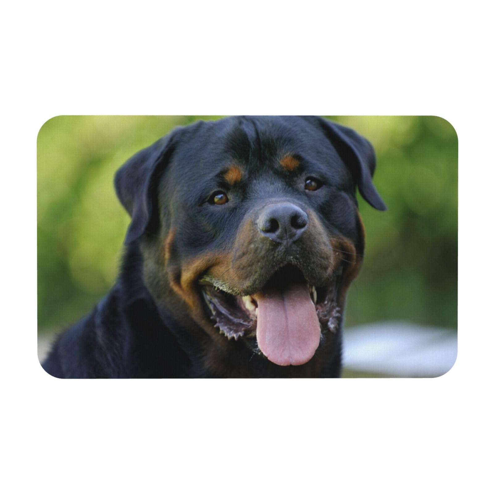 Tapis de bain en diatomite 50x80 cm motif Rottweiler avec bord elliptique