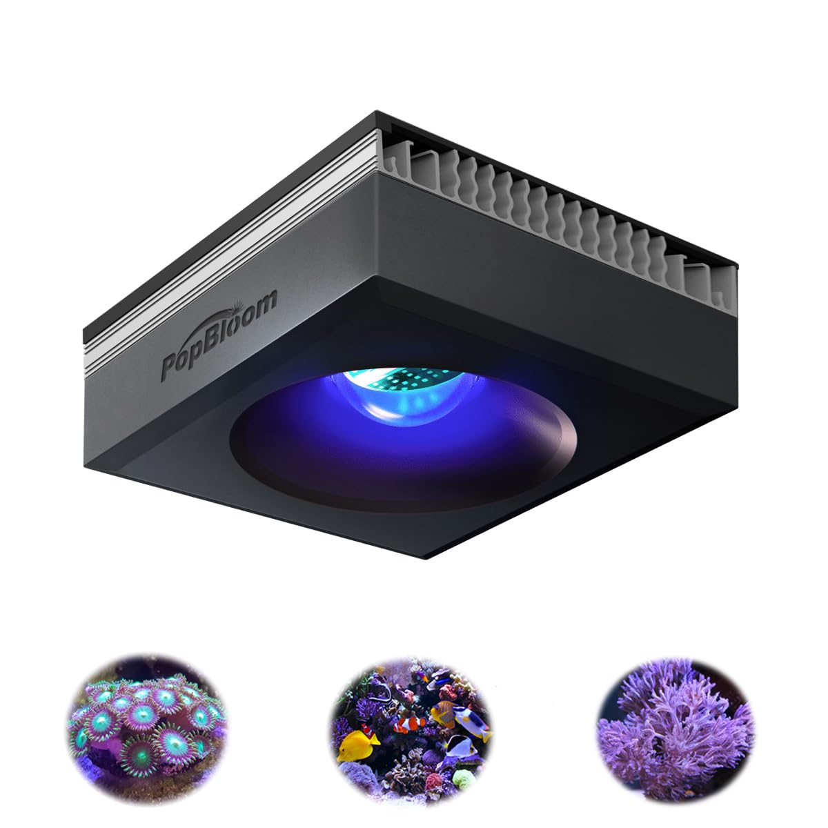 PopBloom RL90 LED Aquarium Light, Full Spectrum Aquarium Light for 16-24Inch Marine and Saltwater Tanks, Fish Tank Light with Wired Timer and Adjustable Brackets