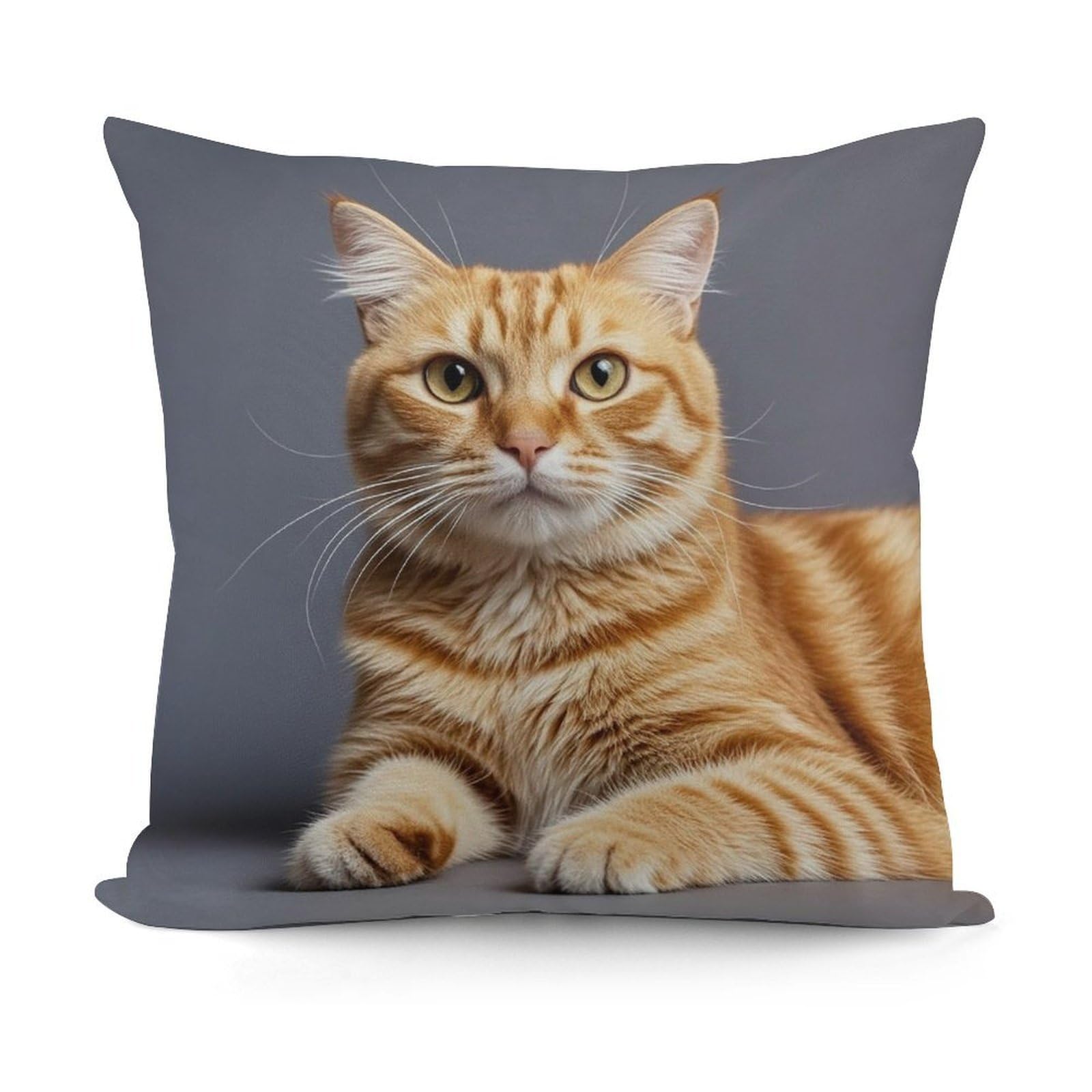FekiLoot Cat Throw Pillow Cover Soft Decorative Pillow Cover Modern Square Cushion Cover Cozy Cushion Case Farmhouse Home Decor for Sofa Couch Living Room 18 X 18 Inch