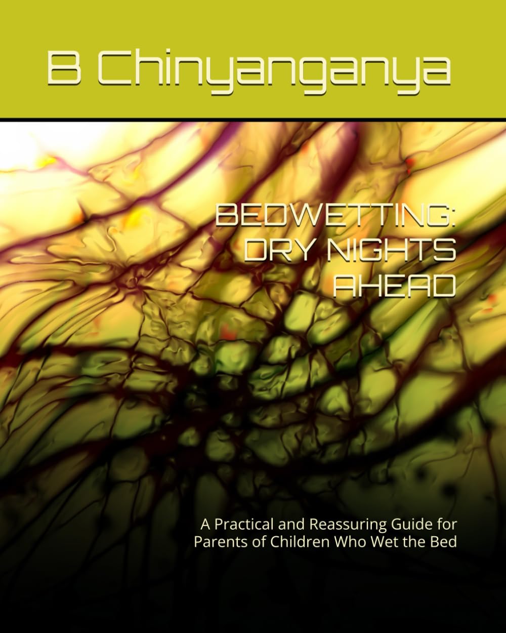 BEDWETTING: DRY NIGHTS AHEAD: A Practical and Reassuring Guide for Parents of Children Who Wet the Bed