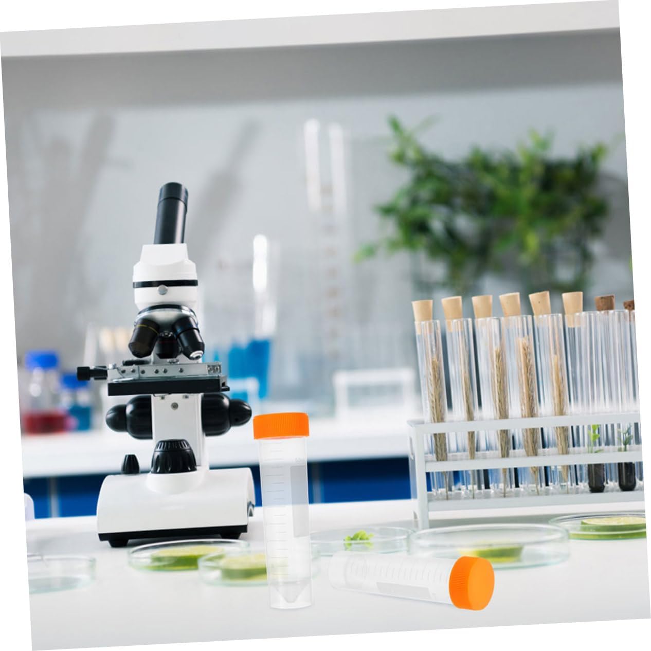 GLEAVI 10pcs Tubes Secure Caps Plastic Test Tubes Lab Vials for Storage and Sample Preparation