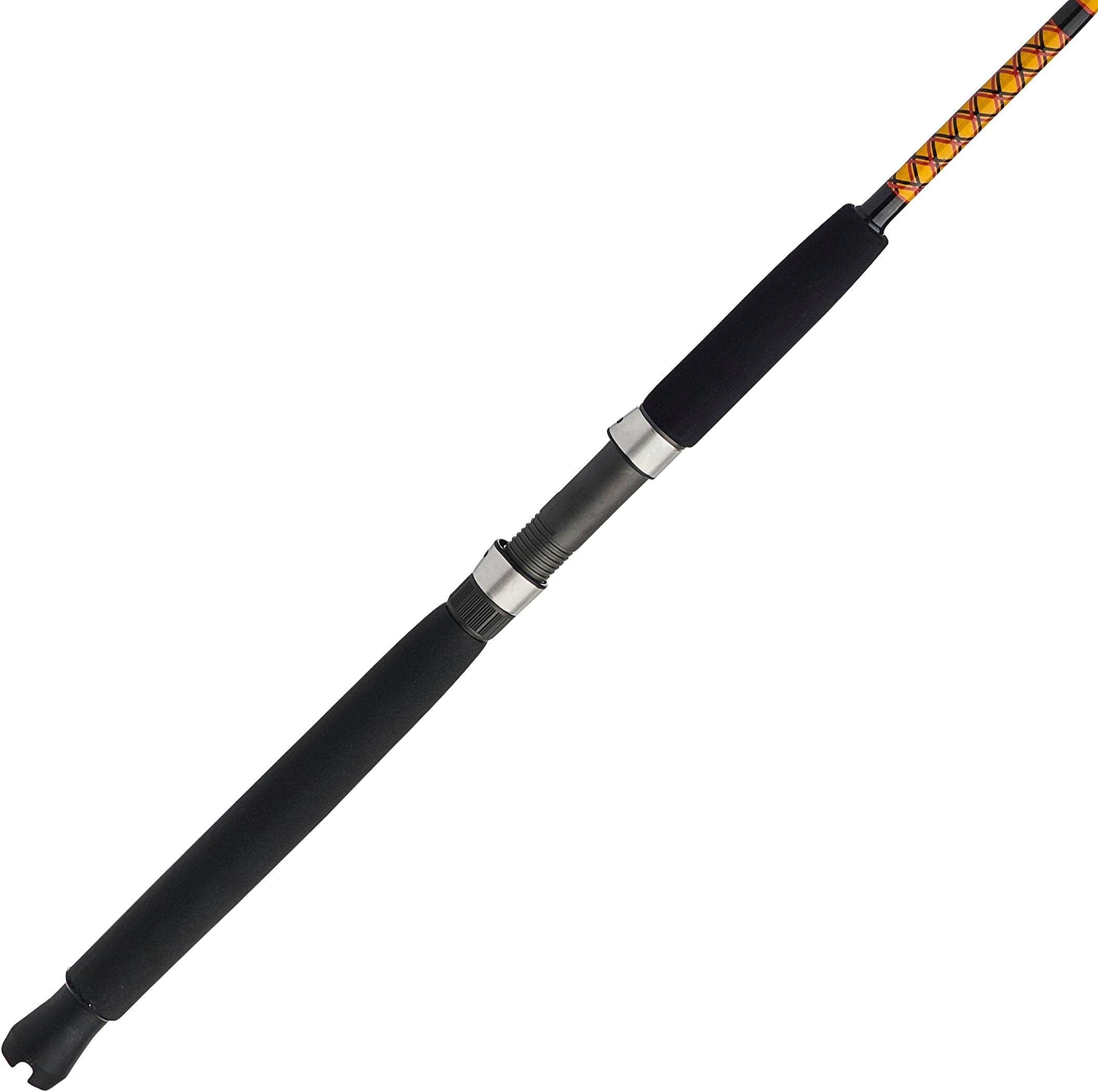 Bigwater Casting Fishing Rod