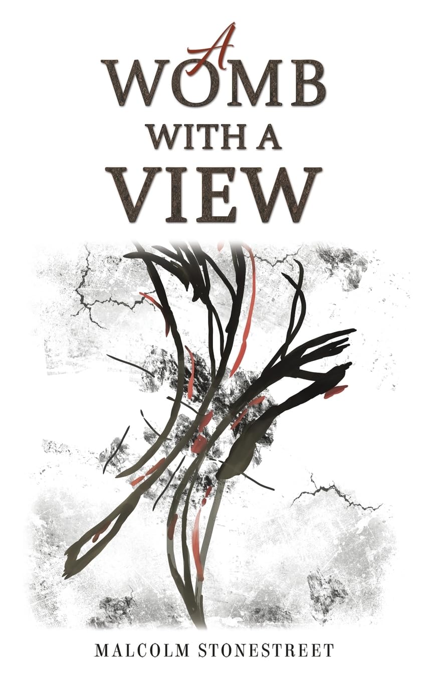 A Womb With a View by Malcolm Stonestreet - 9781035848515