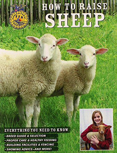 How to Raise Sheep