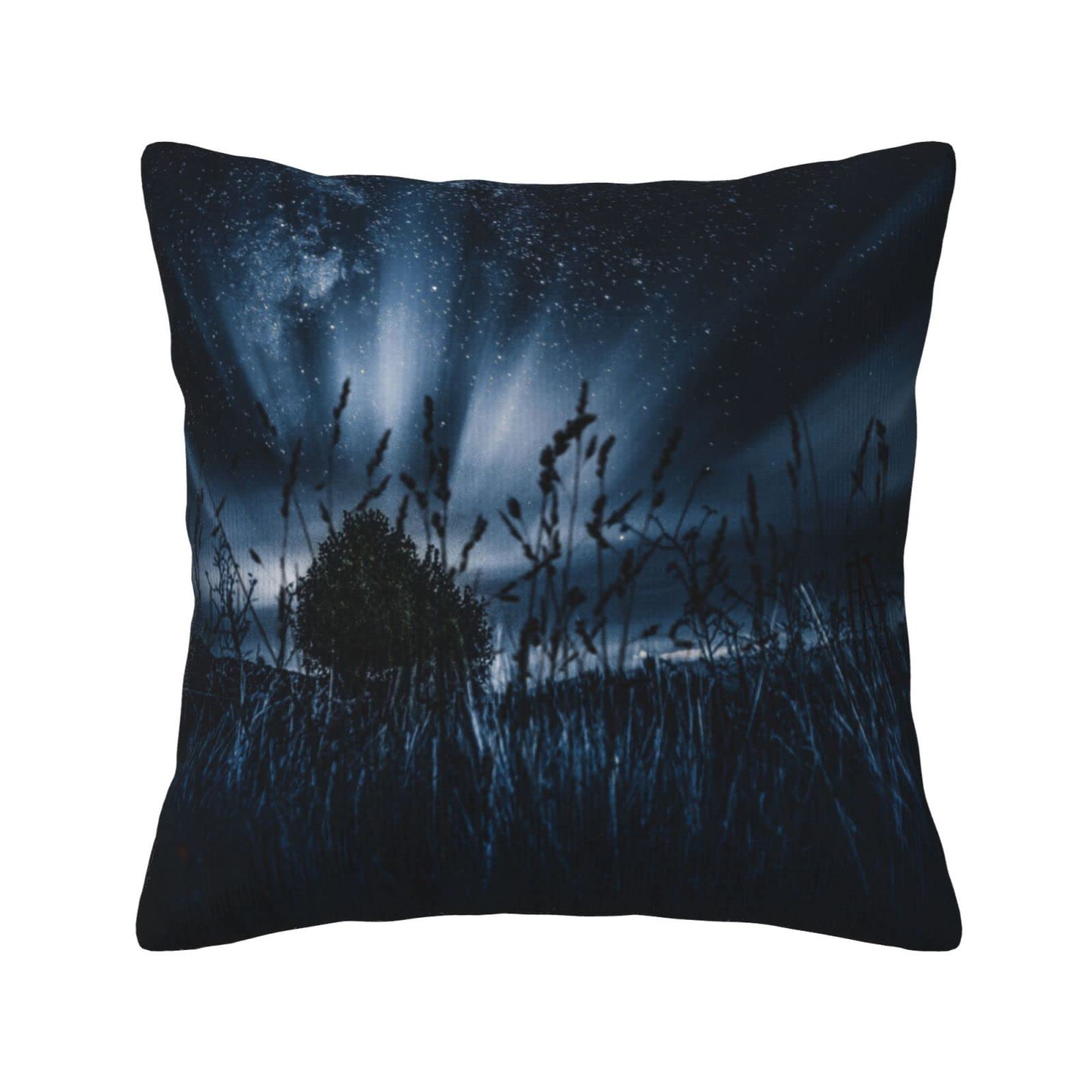 Housses de coussin douces en velours pour soulager votre dos