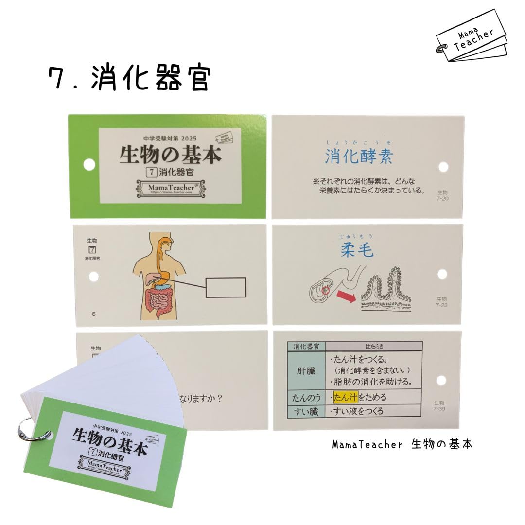 Amazon.co.jp: 生物の基本9冊セット（2025リニューアル版