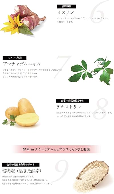 酵素 In ナチュリズム お徳用 600粒 2袋 ダイエット食品 Www Bloompsychologyservices Com