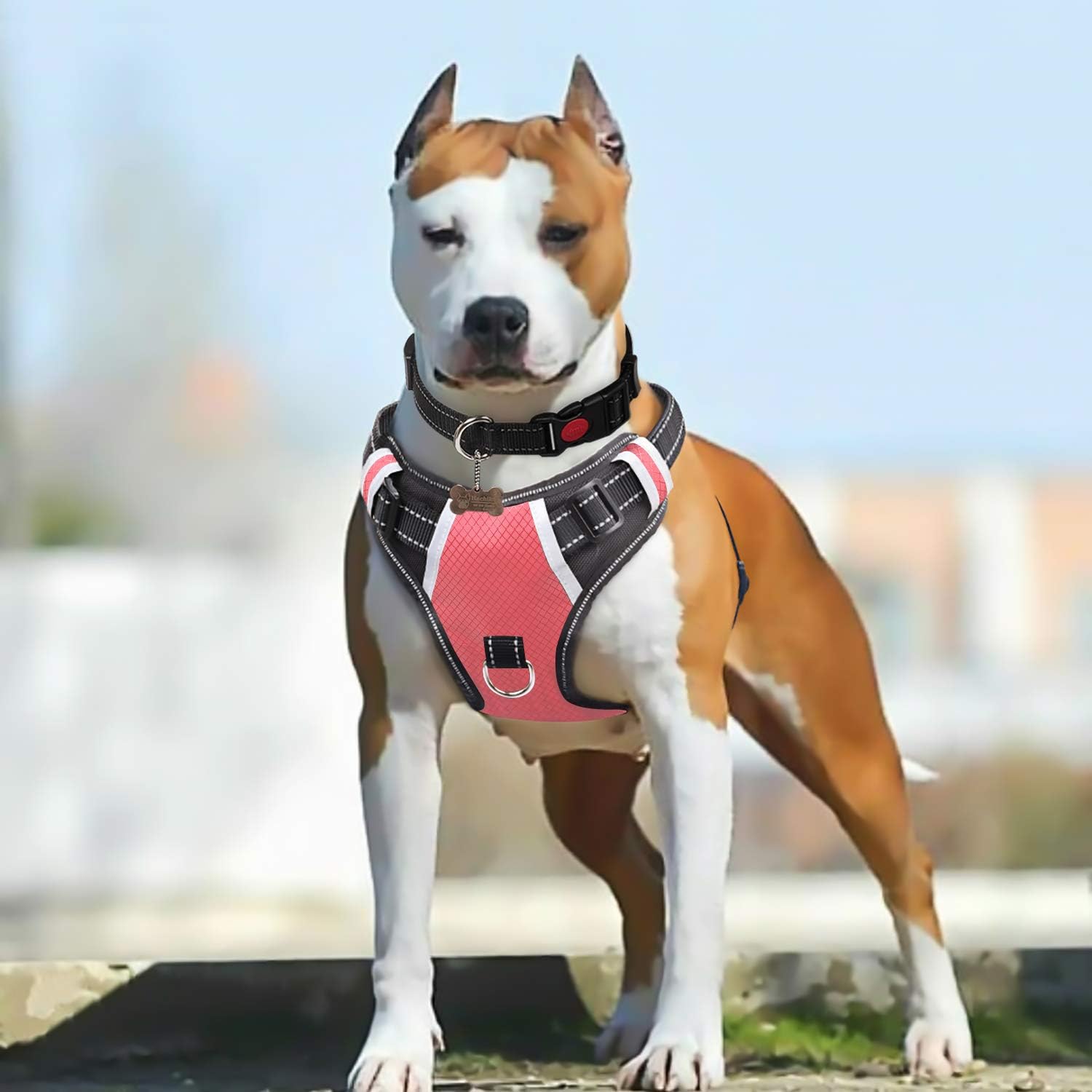 Big dog harness vest Clearance