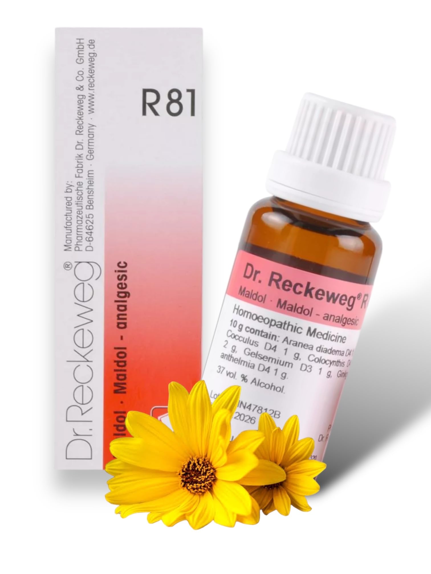 See full amazon price history chart for Dr Reckeweg R81 Homeopathic Medicine Drop -Maldol 22ml Dr Reckeweg R81 Homeopathic Medicine Drop -Maldol 22ml (B0CH98RCZ9) Amazon Price History, Amazon Price Tracker