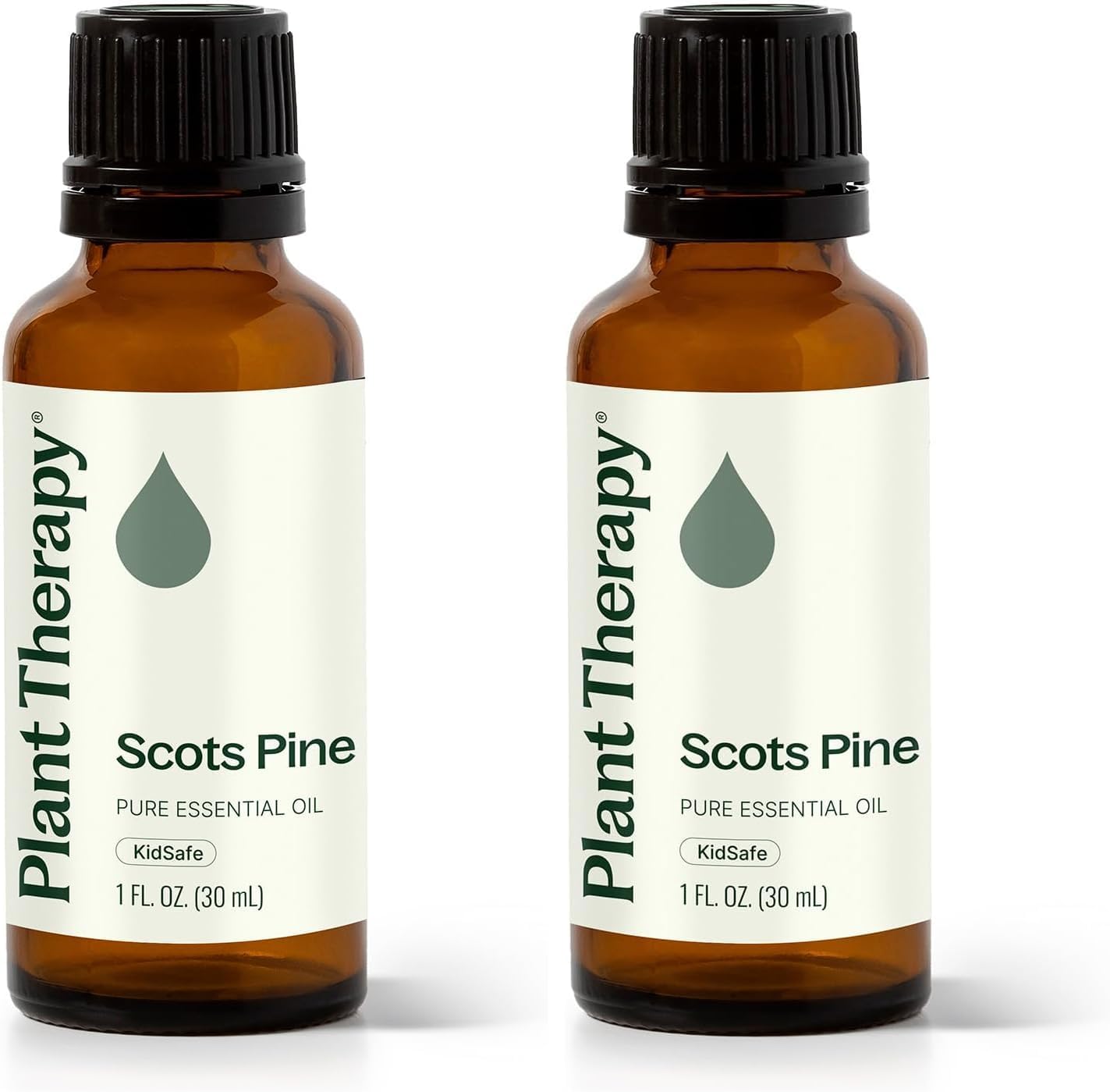 Plant Therapy Scots Pine Essential Oil 30 mL (1 oz) (Pack of 2) 100% Pure, Undiluted, Aromatherapy for Clear Breathing, and Sore Muscle Relief