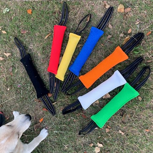 Geavonyg Zerrspielzeug Für Hundetraining Reißfest Alle Hunderassen Geeignet Erleichtert Training Und Sorgt Interaktiv Positive Verstärkung Bei Langeweile Und Intelligenz. Groß Kauen Bei