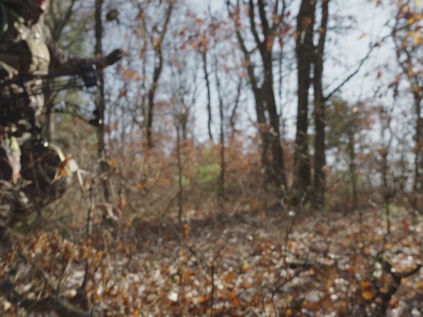 Watch MeatEater Hunts Season 2 Prime Video