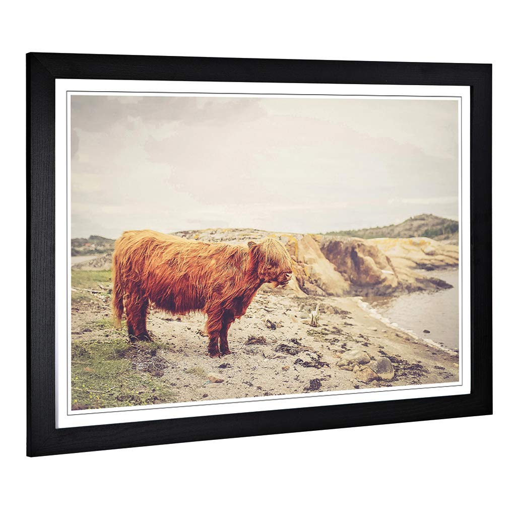 Big Box Art Framed Print of Highland Cow Landscape Design | Wall Art Picture | Home Decor for Kitchen, Living, Dining Room, Lounge, Bedroom, Hallway, Office, Black, A2 / 24.5x18 Inch / 62x45cm
