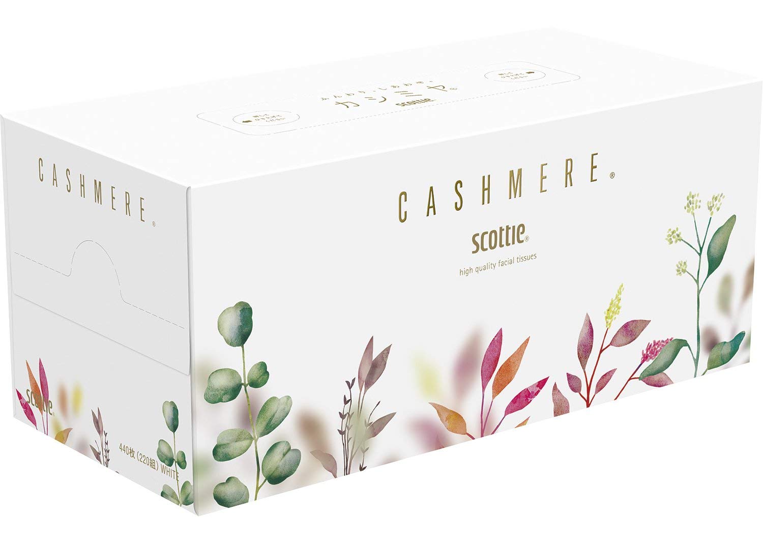 Nippon Paper CreciaScotty Kasimi Botanical