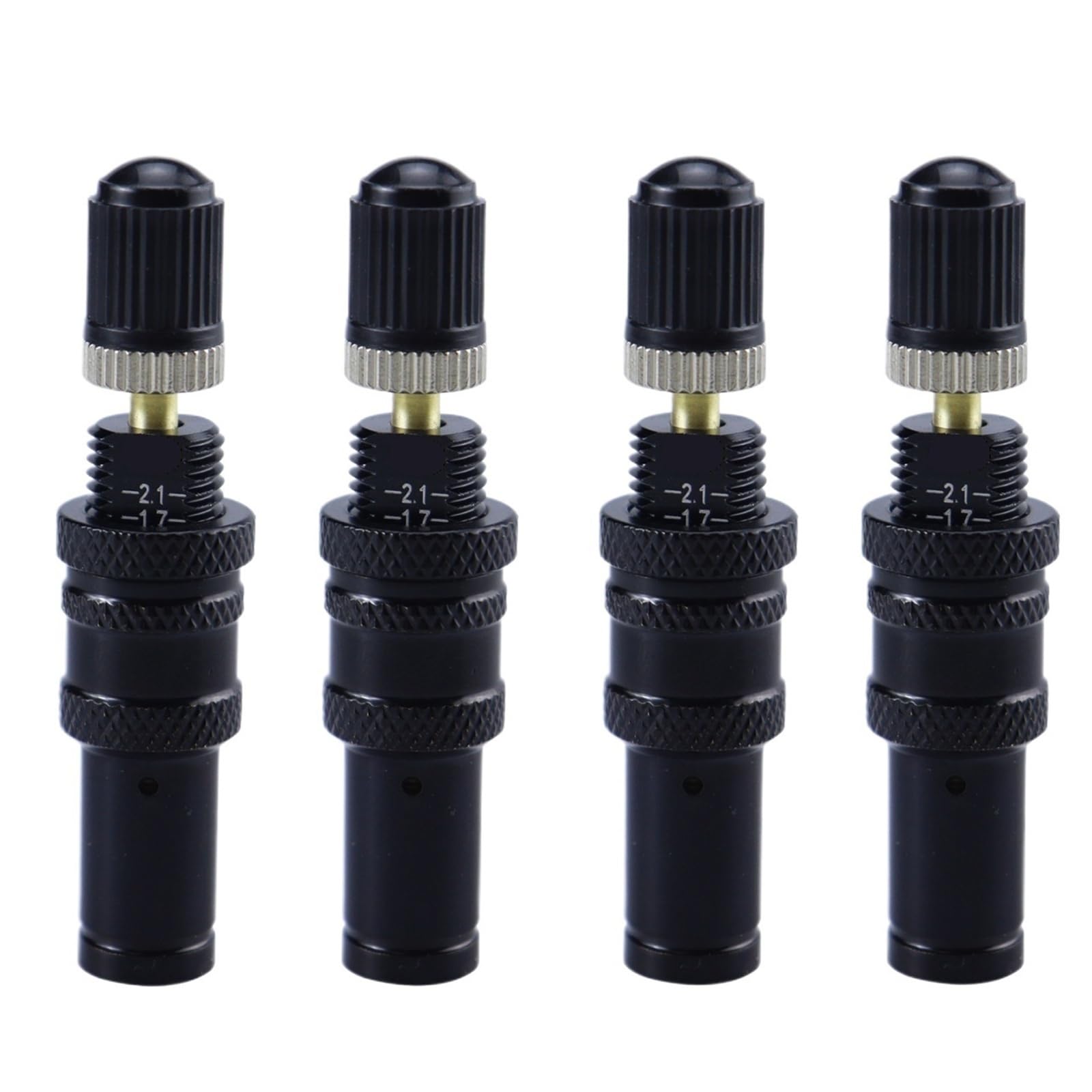 Tire Deflator with Scale Brass Automatic Deflate Valve Portable Tyre