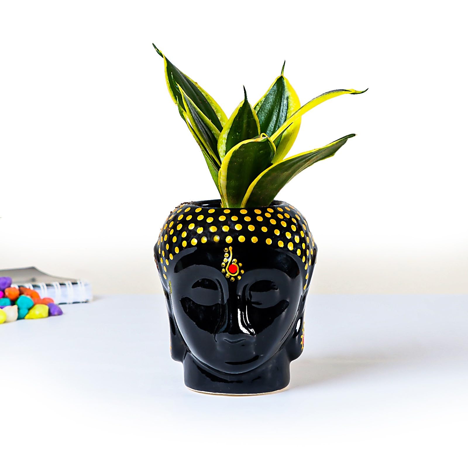 See full amazon price history chart for Flora Dlite Snake Plant in Buddha Ceramic Planter Pot - Indoor Live Plant for Home Decor | Perfect for Living Room & Office Desk | Original Indoor Plant Pots | Small Plant for Office Desk Flora Dlite Snake Plant in Buddha Ceramic Planter Pot - Indoor Live Plant for Home Decor | Perfect for Living Room & Office Desk | Original Indoor Plant Pots | Small Plant for Office Desk (B0D3FLP5WK) Amazon Price History, Amazon Price Tracker