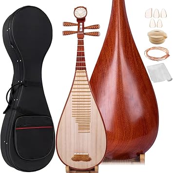 Pipa,Lute Instrument,Selected Rosewood Set for Beginner,Chinese Traditional Stringed Instrument,MP-400