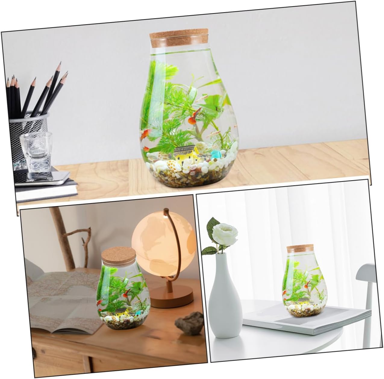 2pcs DIY Micro Landscape Bottle Glass Ecological Bottle Moss for Indoor Greenery
