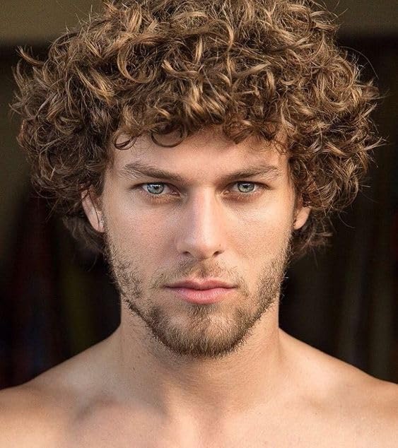 Qnbiar Mens Wig Short Brown Curly Wigs Short Natural Looking Synthetic Hair Replacement Wig for Male, Brown2