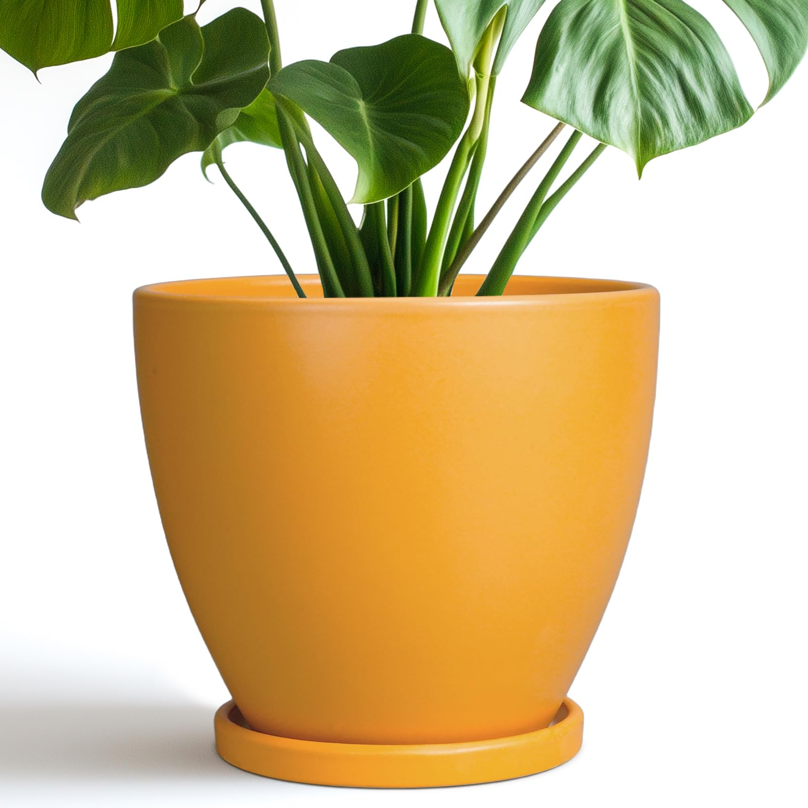 EPFamily Ceramic Plant Pot - 8 Inch Planter for Indoor Outdoor Plants, Round Flower Pots with Drainage and Tray, Home Office Decor, Orange
