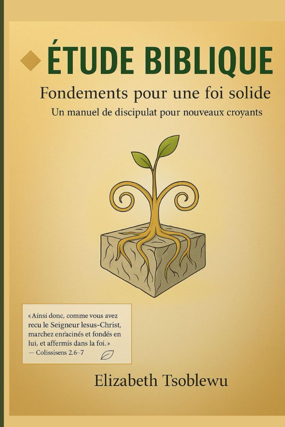 ÉTUDE BIBLIQUE: Fondements pour une foi solide: Un manuel de discipulat pour nouveaux croyants