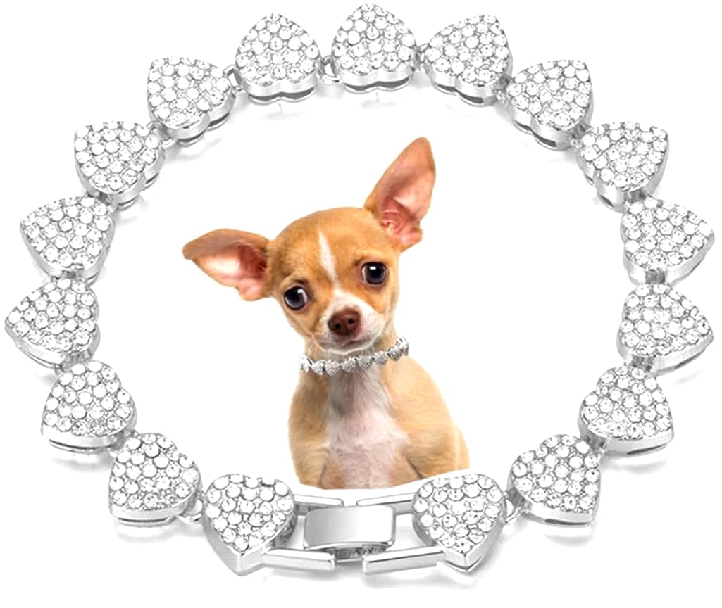 Pimaodog Dog Chain Collar, Heart Style Bling Diamond Cuban Link Dog Collars Glitter Chain Rhinestone Puppy Necklace for for XXS XS Small Medium Pet Dogs Cats (Silver, 18 Inch)