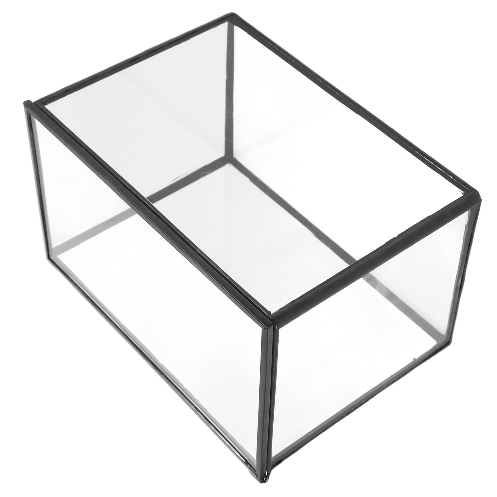 Terrario de Musgo de Vidrio Transparente, Contenedor Resistente para Plantas y Flores, Soporte Creativo para Micropaisajes en Patio o Decoración Interior