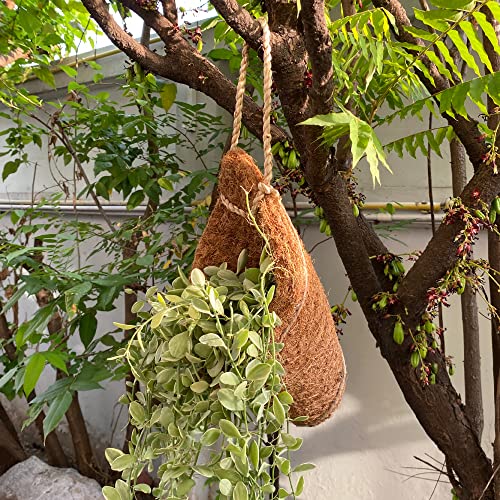 Panwa Handmade 100% Woven Thai Coconut Coir Bird Nest Hanging Orchid Planter Basket - Set Of 2 (6”& 4”) (Patio) #TOP3