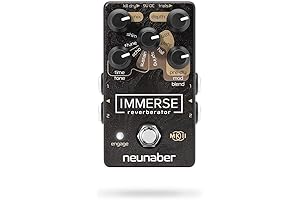 Neunaber Immerse Mk II: A Pedalboard Essential