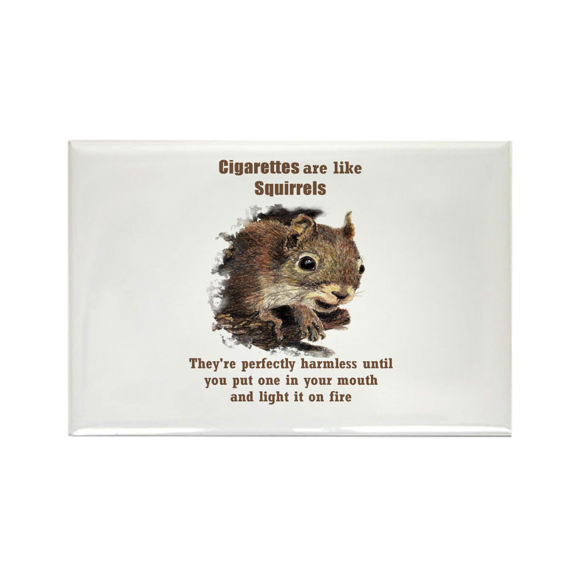 Amazon.com: CafePress Cigarettes Quote Fun Squirrel Magnets Rectangle  Magnet, 3