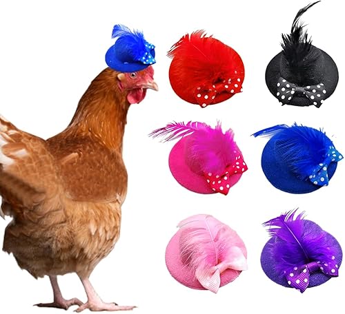 6 sombreros de pollo para gallinas, sombrero de copa de plumas con lazo de encaje, accesorios para sombrero de mascota pequeño, accesorios para