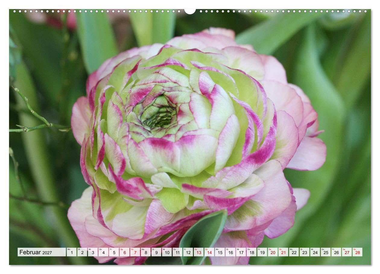 Blumen, bunt gemischt (Wandkalender 2027 DIN A2 quer), CALVENDO Monatskalender: Ein Jahr voller Blütenmomente (CALVENDO Natur)