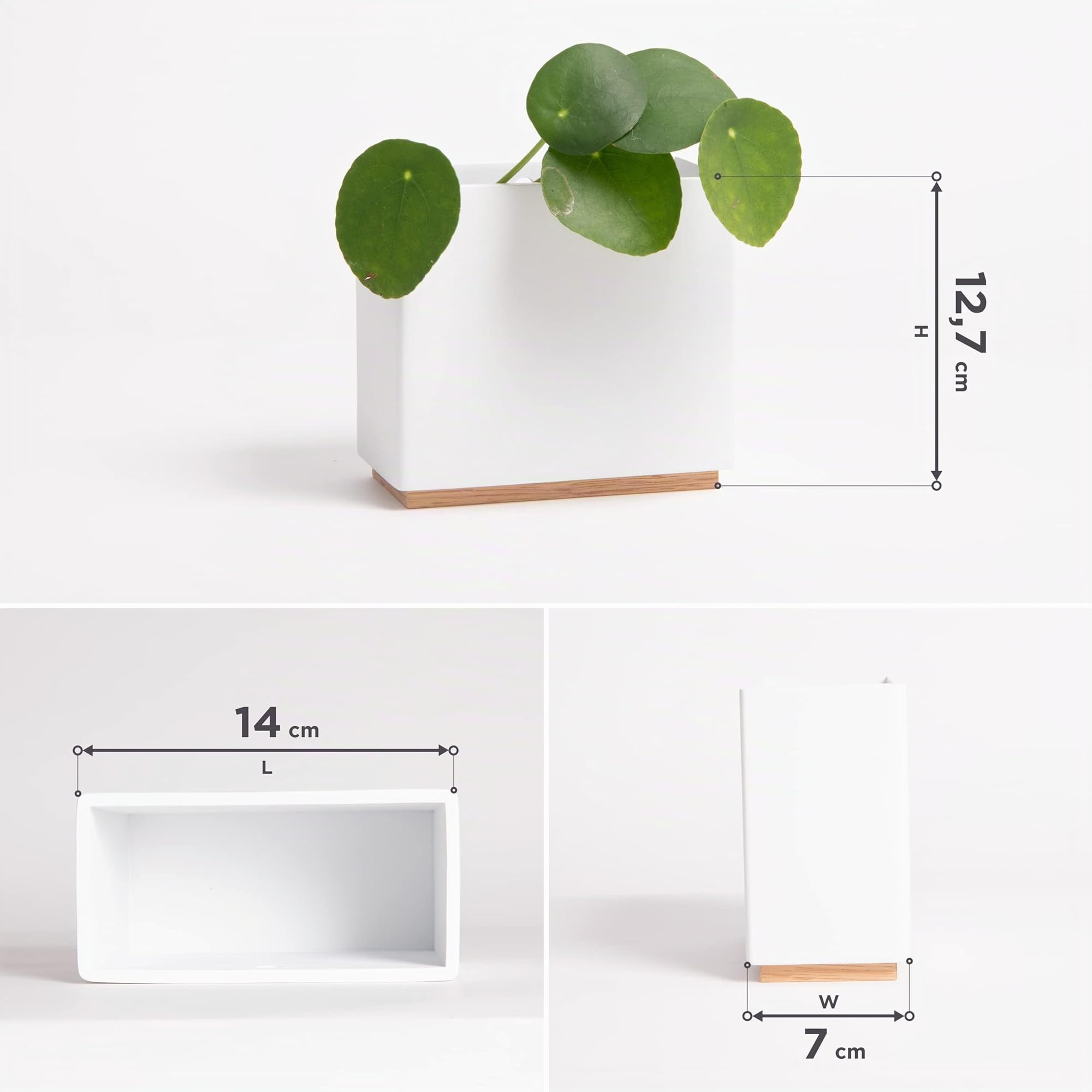 Kazai. Jardinières Murales -Alma- | 3 Pots de Fleurs Suspendus Modernes en Résine | Ensemble de Porte-Plantes pour Plantes d'intérieur, Plantes artificielles et Plus | Blanc